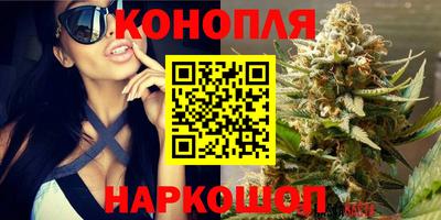 дмт Камышлов