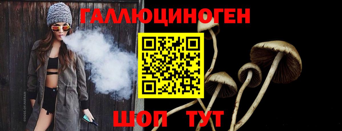 Псилоцибиновые грибы GOLDEN TEACHER  Вход с VPN  Кузнецк 