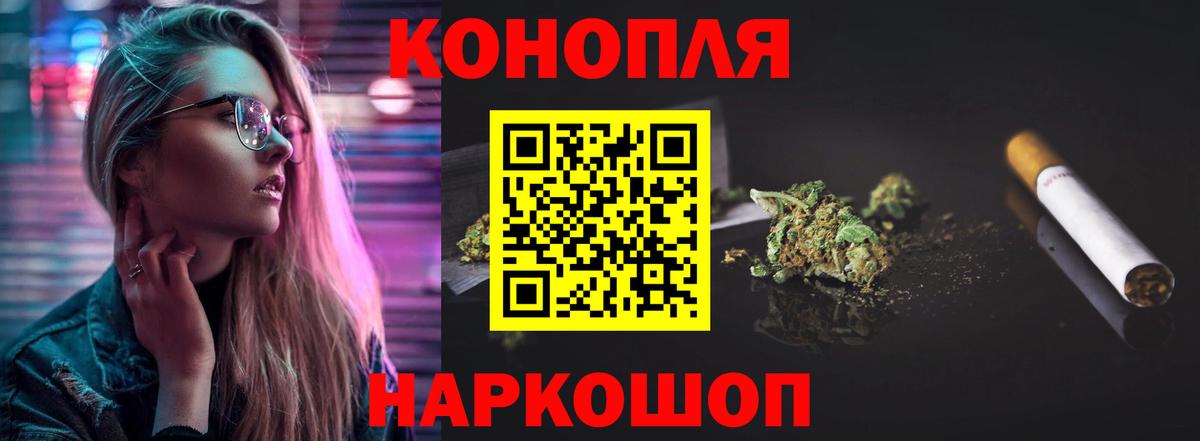 Бошки марихуана конопля Кузнецк